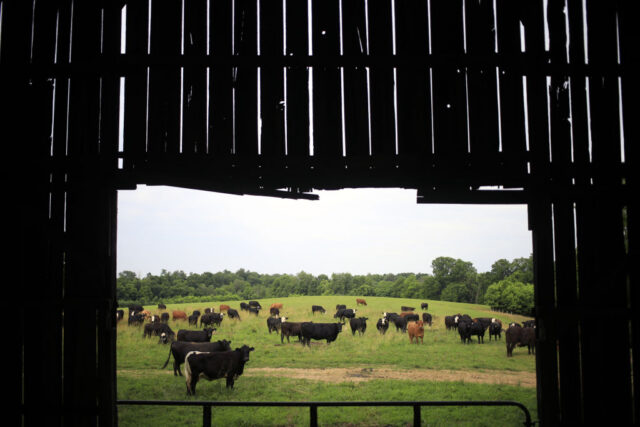 一片广阔的农田与远处规划中的数据中心形成对比，象征传统农业与前沿科技的冲突